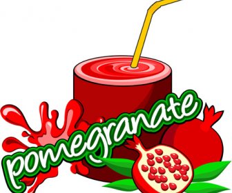 pomegranate drinks vector