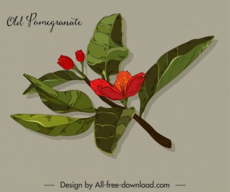 Ikon Bunga Delima Berwarna Desain Klasik