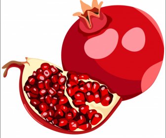 Pomegranate Fruit Icon Red Classic Design Slice Sketch