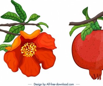 ícones De Romã Frutas Flor Folha Ramo Decoração