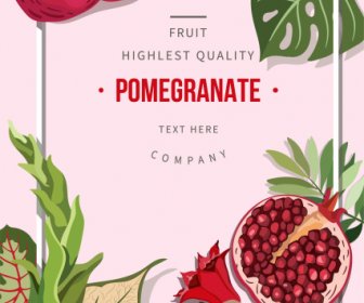Pomegranate Poster Template Colorful Classic Decor