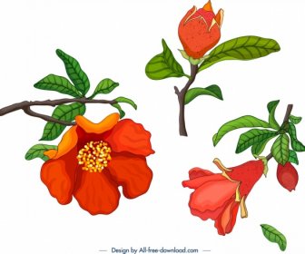 Pomegranate Tree Design Elements Flower Fruit Bud Icons
