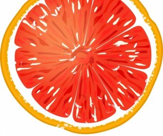 Pomelo Fruit Icon Colorful Flat Closeup Sliced Sketch