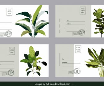 Postcard Templates Green Trees Decor Classic Design