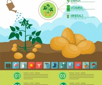 Kartoffel-Infografik-Obstbaum Wasser Bunte Design Ikonen
