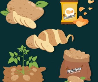 Potato Product Icons Raw Fruit Chips Dark Design