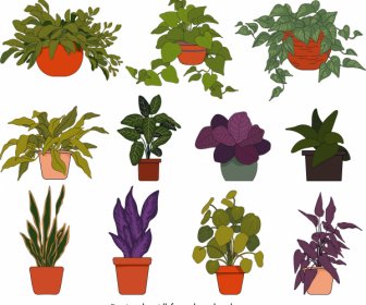 Potted Houseplant Icons Colorful Flat Classic Handdrawn