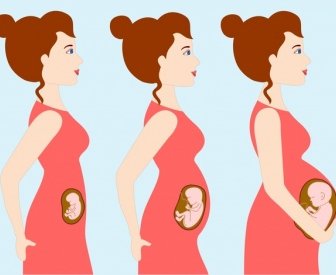 Pregnancy Background Woman Gestation Steps Icons Cartoon Character