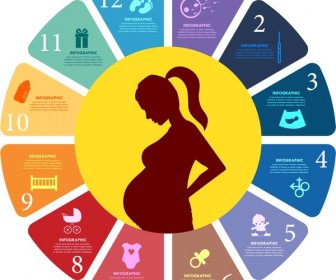 Kehamilan Konsep Desain Dengan Gaya Infographic Berwarna