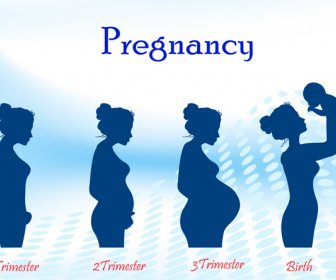 Schwangerschaft-Silhouette-Fortschritt-Kreis-Schritt