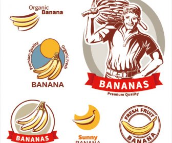 Set Vettoriale Di Premium Qualità Banana Etichette