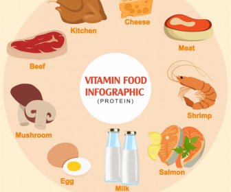 Protein-Lebensmittel-Infografik Banner Farbige Klassische Kreis-Layout