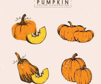 Pumpkin Icons Collection Retro Handdrawn Design