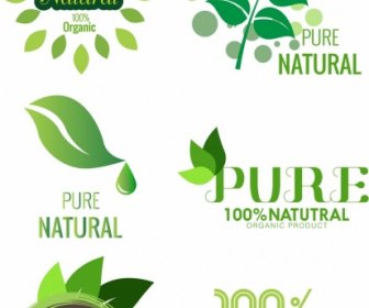 Pure Product Logo Template Green Leaf Design