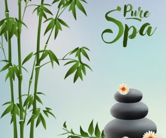 Pure Spa Advertisement Green Bamboo Stones Icons Decor
