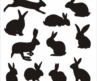 Kaninchen Süß Silhouetten Vektoren