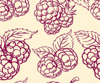 Rasberry Fruit Pattern Template Handdrawn Classical Design