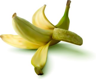 リアルなバナナ デザイン ベクトル図