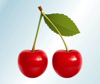Realistic Cherries Food Fruit Vector Graphics