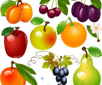 Buah-buahan Yang Realistis Dan Berry Desain Vektor