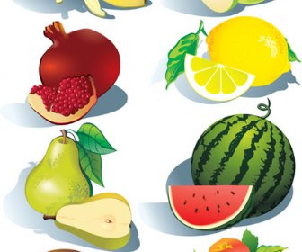 Realistic Fruits Icons Vector