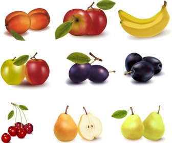 Realistic Fruits Icons Vector