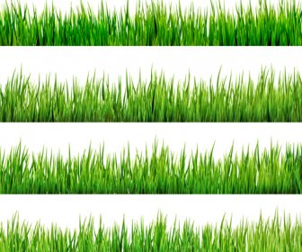 Realistic Grass Borders Design Vector
