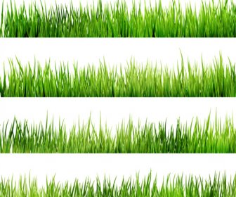 現実的な草のボーダー デザインのベクトル