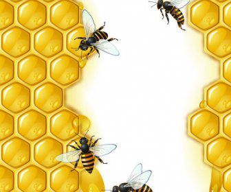 逼真的蜂蜜和蜜蜂矢量图形
