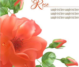 Realistic Red Rose Background Art