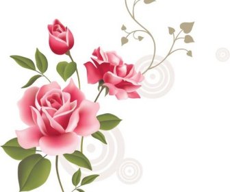 Vector De Flor Color De Rosa De Primavera Realista