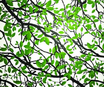 Realistic Tree Leaf Vector