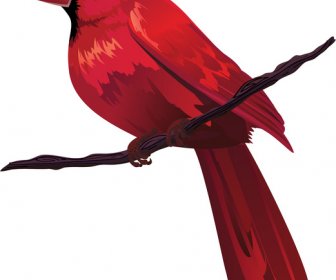 Red Bird On Tree Branch