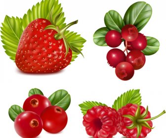 Rote Früchte-Vektor-set
