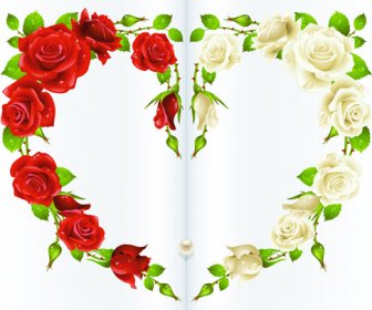 Rote Rosen Und Weiße Rose Herz Hintergrund Vektor