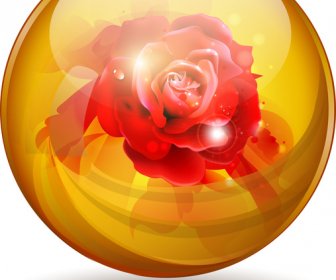 Flor De Rosa Vermelha Dentro Da Esfera Esfera Esfera