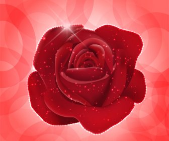 Rote Rose Realistische Vektor-illustration