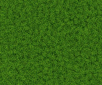 Refreshing Green Grass Background Vector
