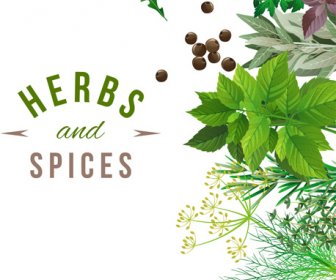 Refreshing Herbs And Spices Vector Background