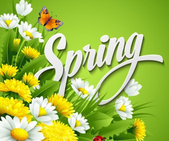 Refreshing Spring Flower Backgrounds Vector