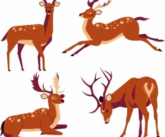Reindeer Species Icons Colored Cartoon Sketch