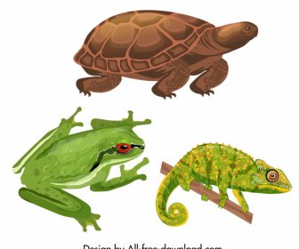 Reptile Animals Icons Colored Turtle Frog Gecko Sketch
