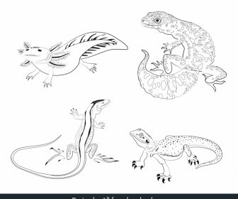Reptile Coloring Book Design Elements Black White Handdrawn Sketch