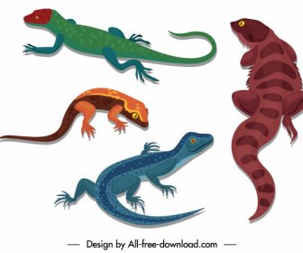 Rettili Icone Gecko Salamandra Schizzo Colorato Disegno