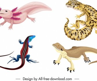 爬虫類の種のアイコン、着色されたヤモリ、サンショウウオ、恐竜、スケッチ