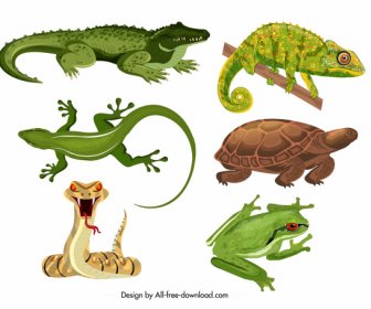 Reptiles Icons Crocodile Gecko Turtle Snake Frog Sketch