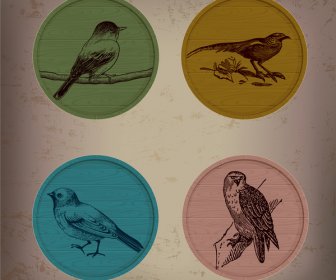 ícones De Pássaro Retrô