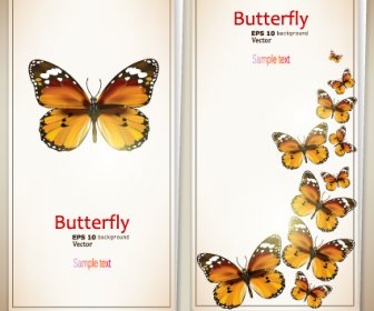 Retro Butterfly Invitation Cards Vector