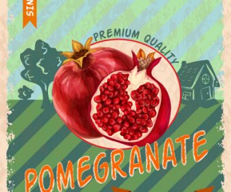 Retro Grunge Pomegranate Poster Vector