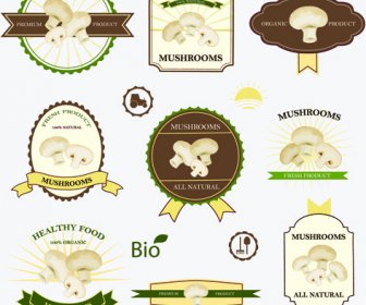 Retro Mushrooms Labels Design Vector